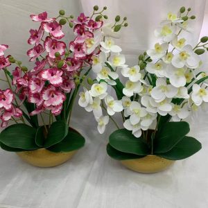 FLEUR B199