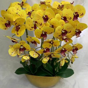 FLEUR B200