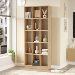 BIBLIOTHEQUE LI2-S  15 CASES