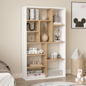 BIBLIOTHEQUE TF1-SW 11 CASES