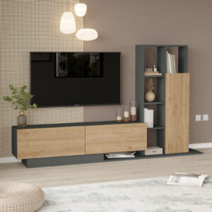 TABLE TV AVEC COLONNE BE1-SA